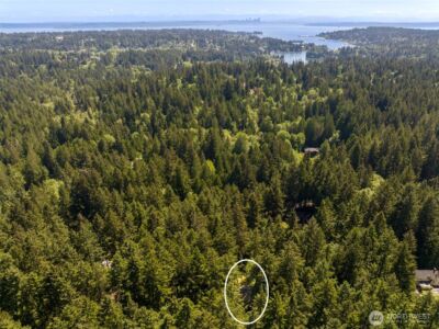 7026 Island Center Road NE, Bainbridge Island, WA 98110 - Photo 40