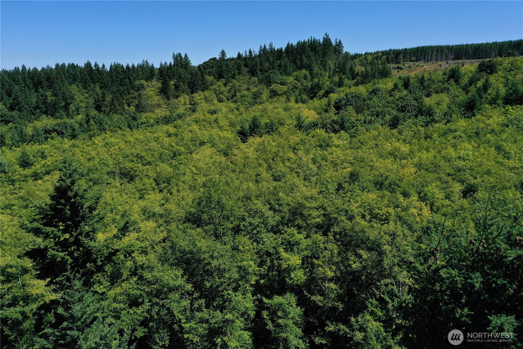 1 XX Scenic Drive , Poulsbo, WA 98370