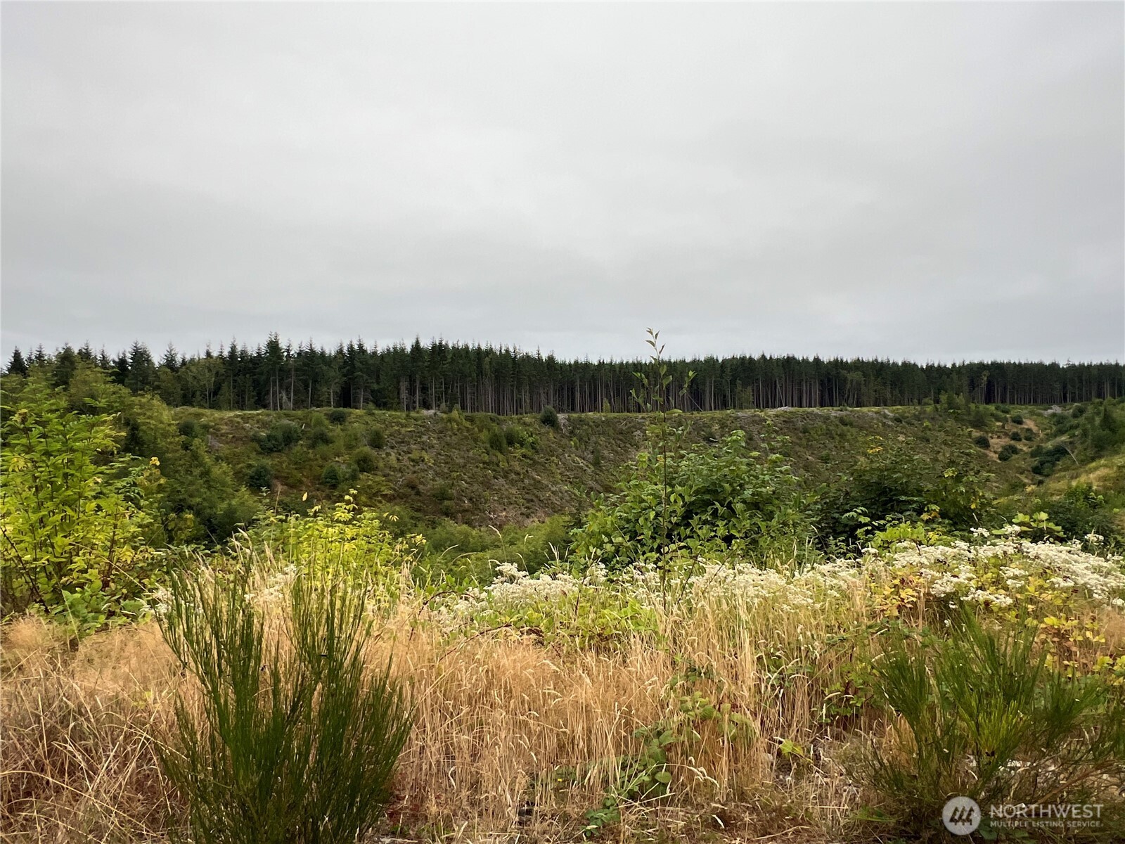 1 XX Scenic Drive , Poulsbo, WA 98370