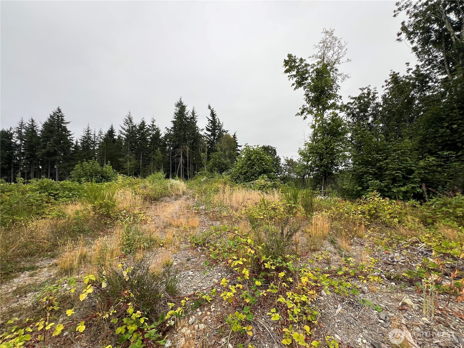 1 XX Scenic Drive , Poulsbo, WA 98370
