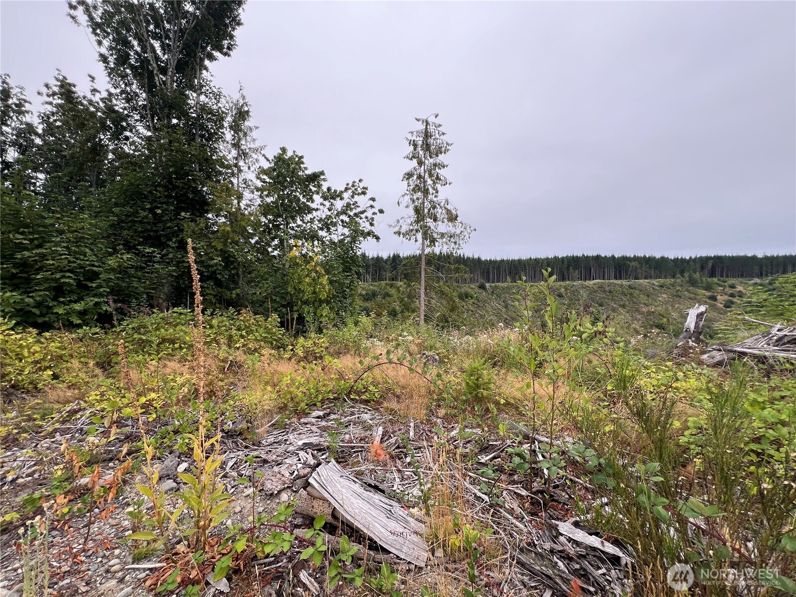 1 XX Scenic Drive , Poulsbo, WA 98370