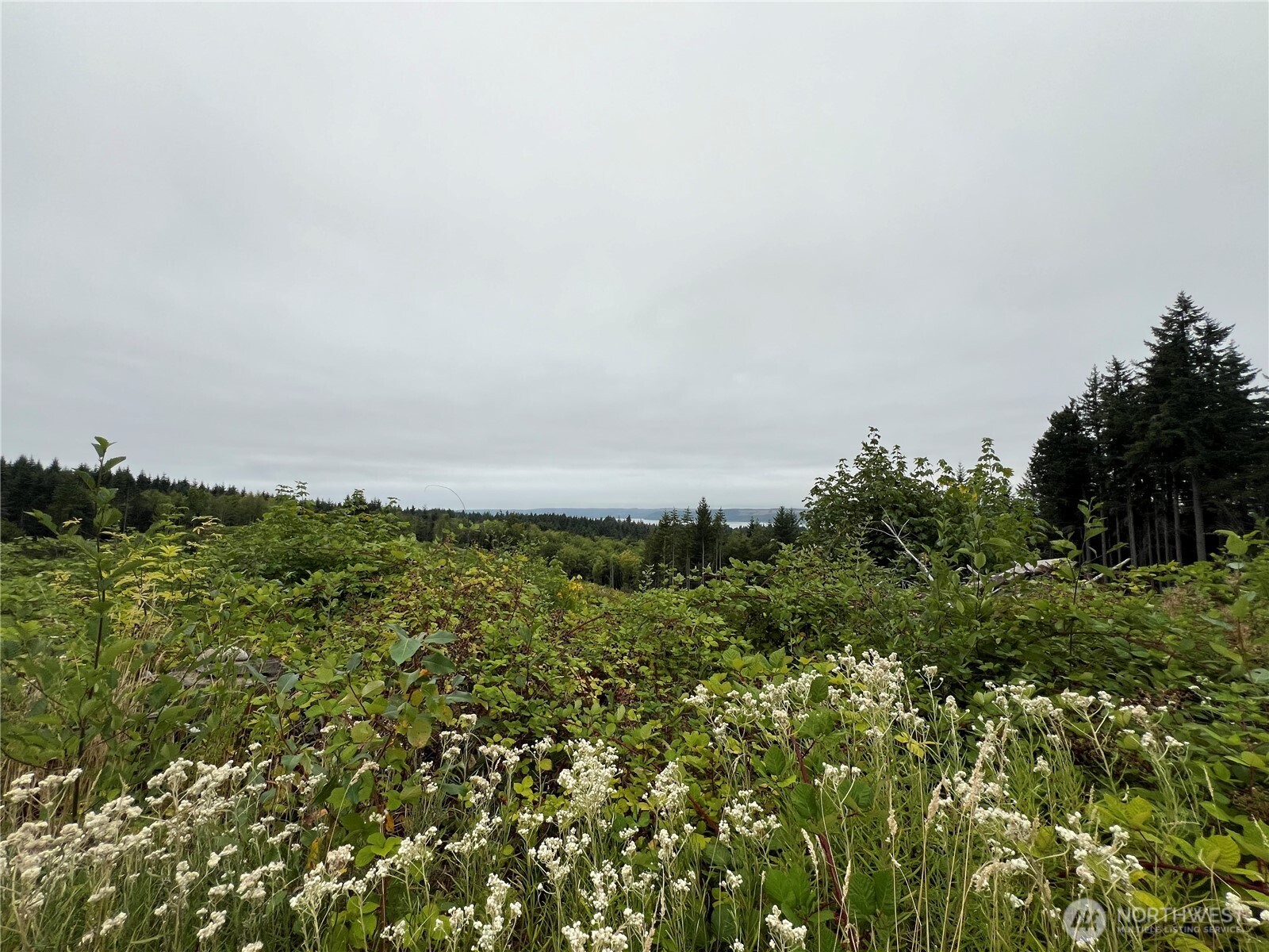 1 XX Scenic Drive , Poulsbo, WA 98370