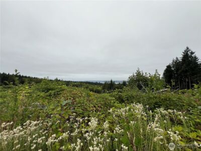 1 XX Scenic Drive , Poulsbo, WA 98370 - Photo 22