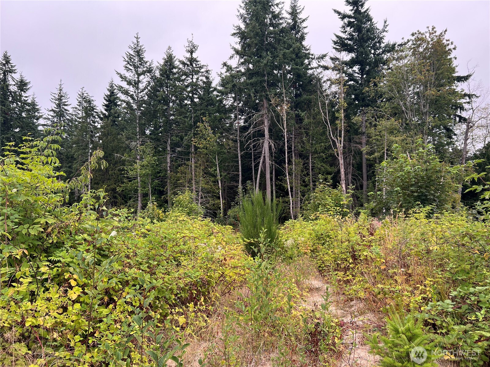 1 XX Scenic Drive , Poulsbo, WA 98370