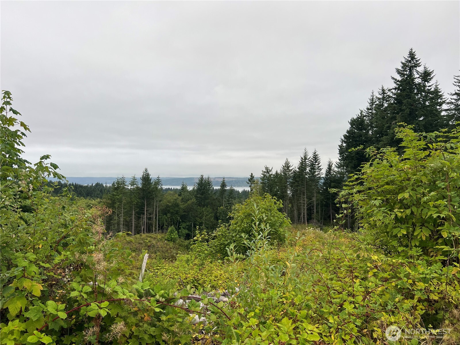1 XX Scenic Drive , Poulsbo, WA 98370