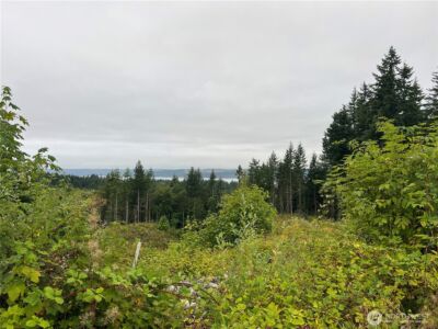 1 XX Scenic Drive , Poulsbo, WA 98370 - Photo 24