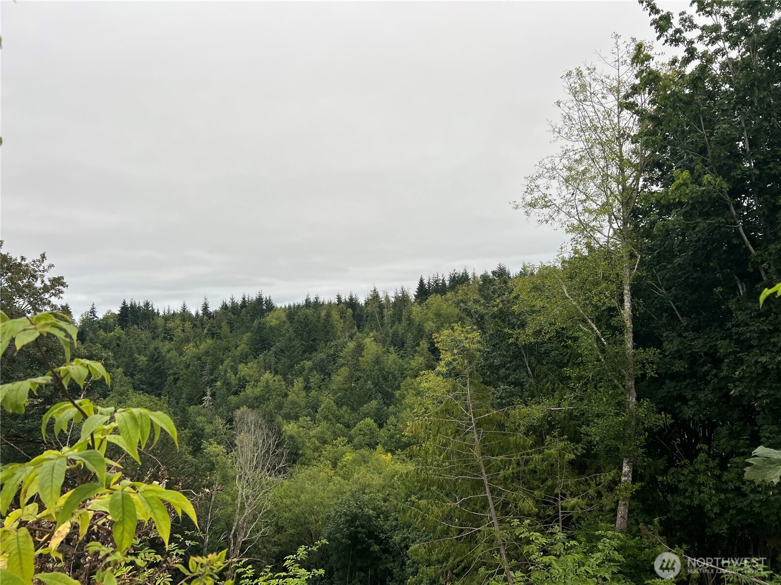 1 XX Scenic Drive , Poulsbo, WA 98370