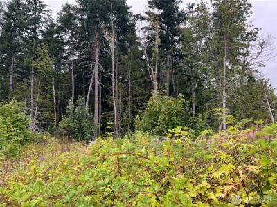 1 XX Scenic Drive , Poulsbo, WA 98370 - Photo 26