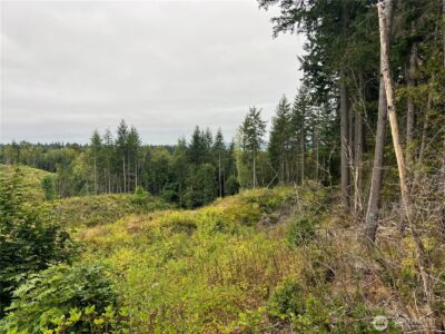 1 XX Scenic Drive , Poulsbo, WA 98370 - Photo 28