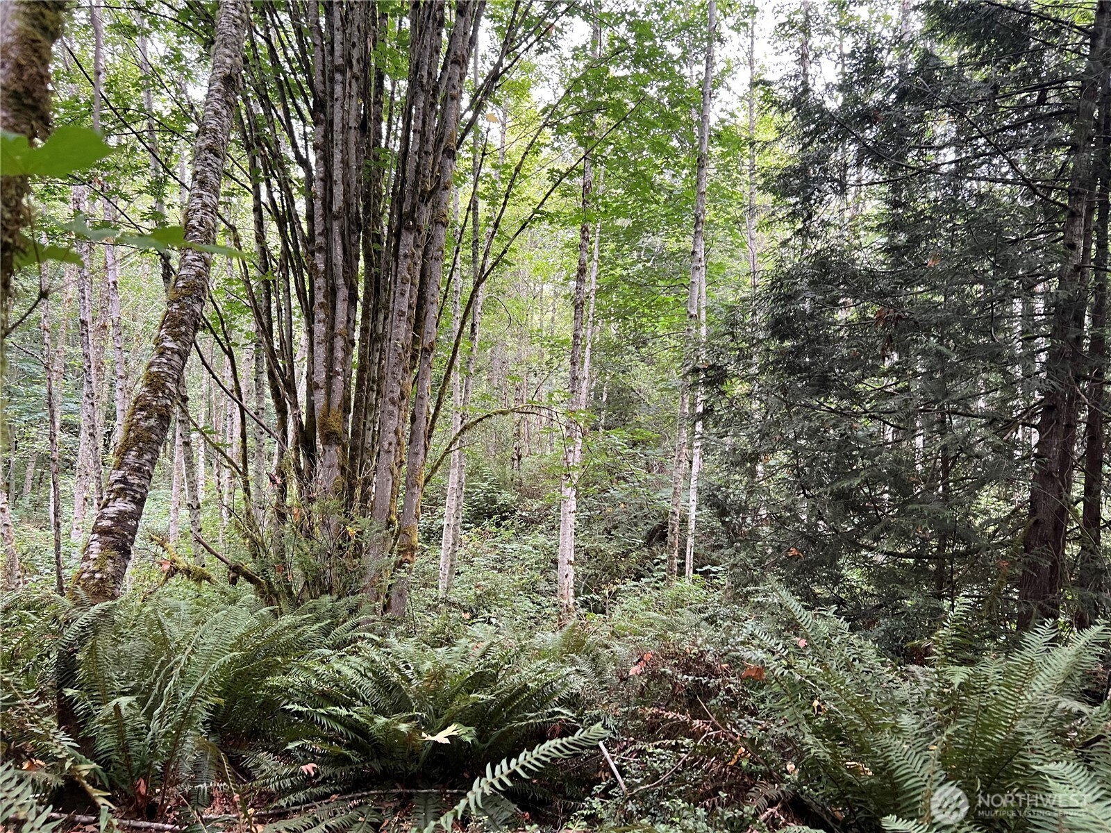 1 XX Scenic Drive , Poulsbo, WA 98370