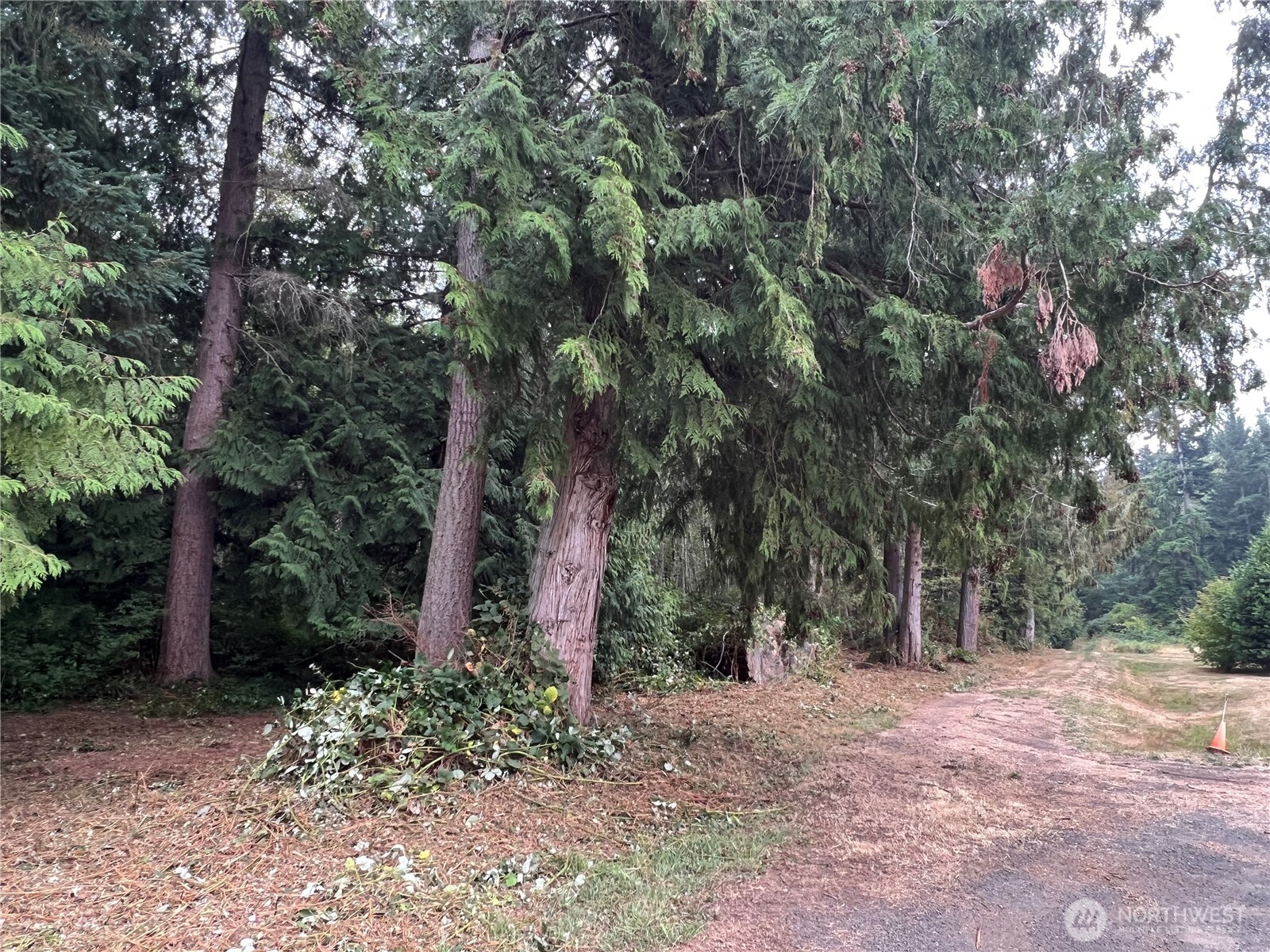 1 XX Scenic Drive , Poulsbo, WA 98370
