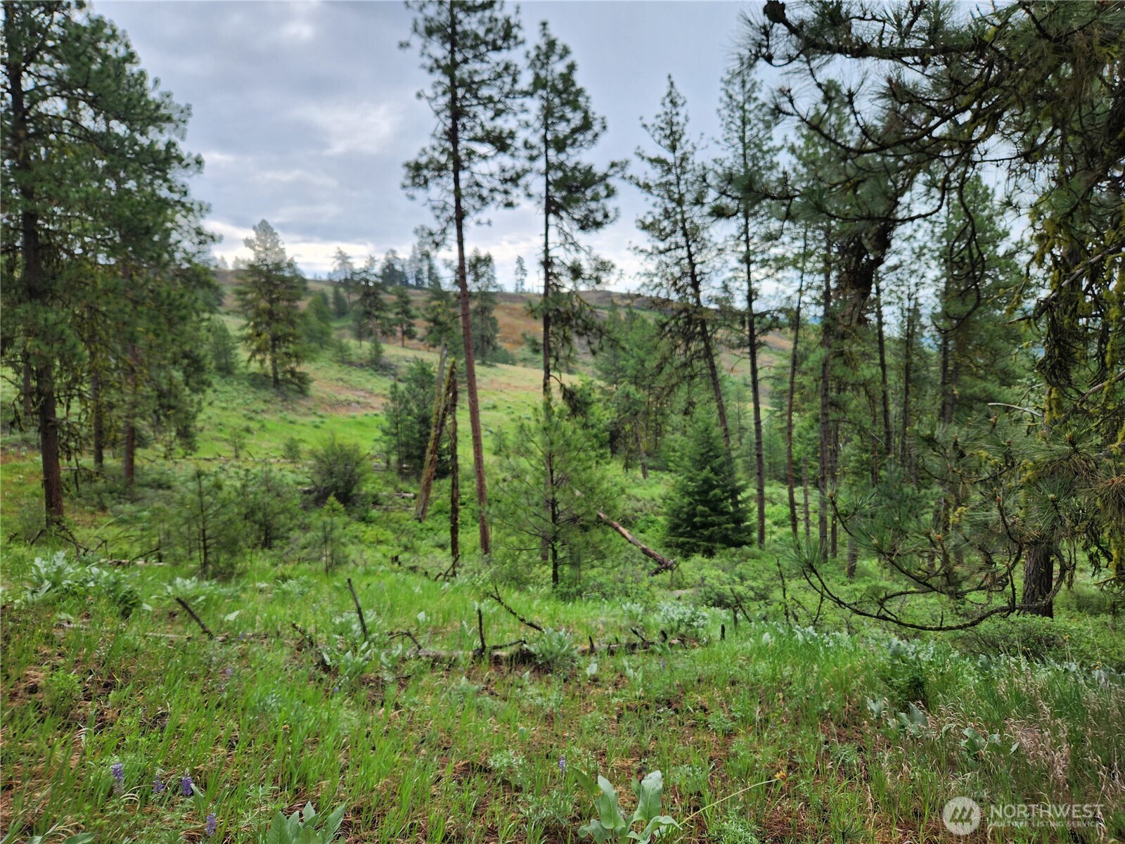 0 74 & 75 Gold Mt. Road , Republic, WA 99166