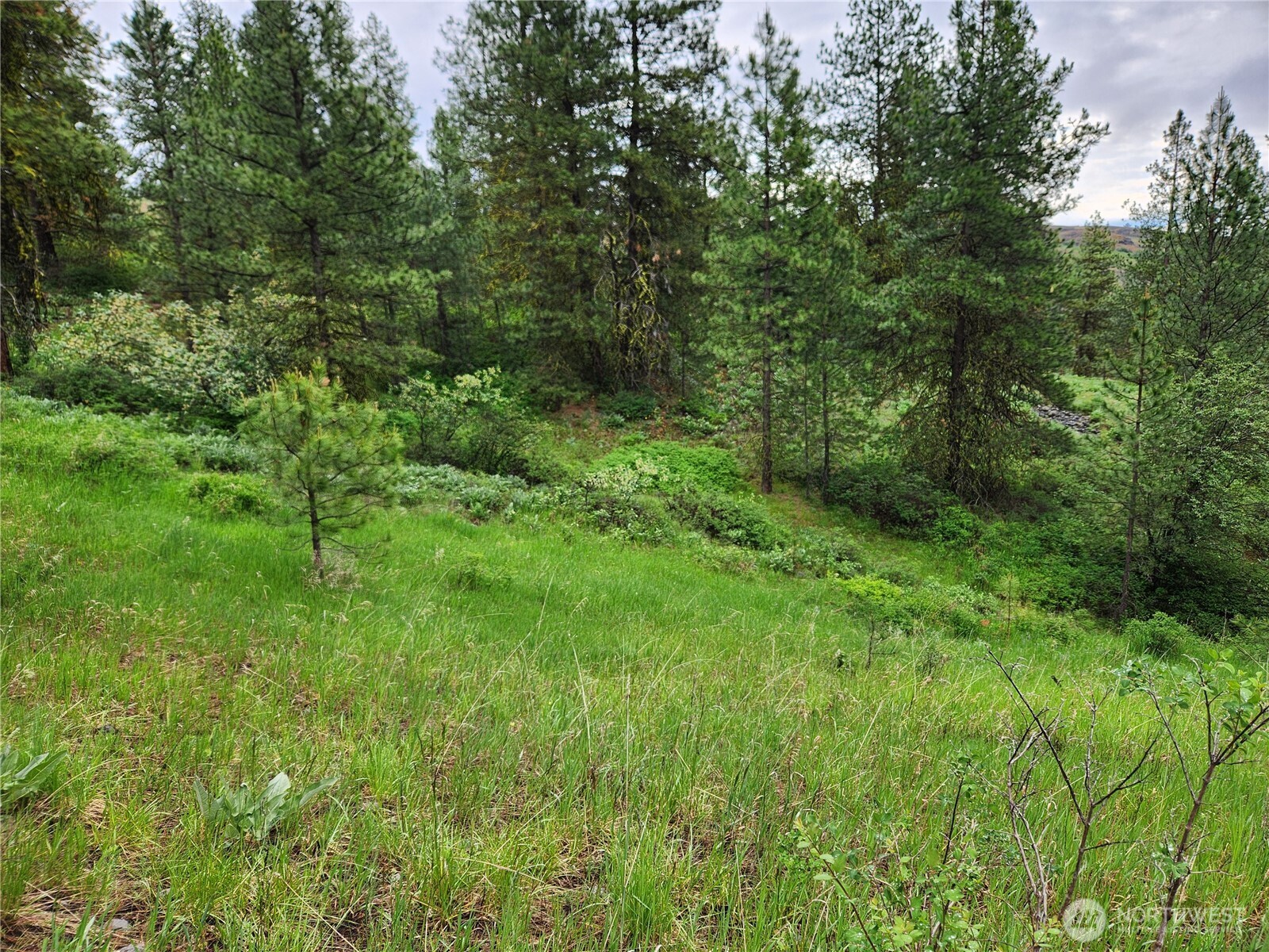 0 74 & 75 Gold Mt. Road , Republic, WA 99166