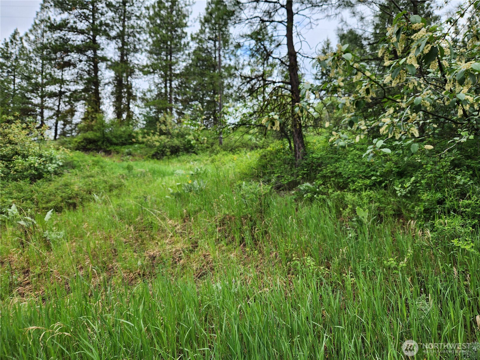 0 74 & 75 Gold Mt. Road , Republic, WA 99166