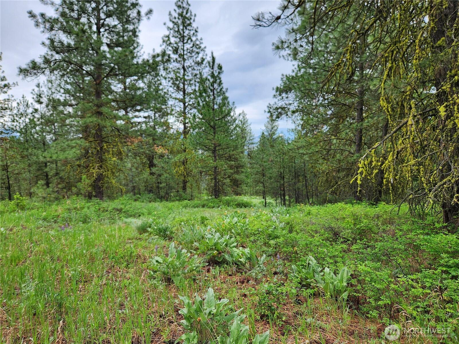 0 74 & 75 Gold Mt. Road , Republic, WA 99166