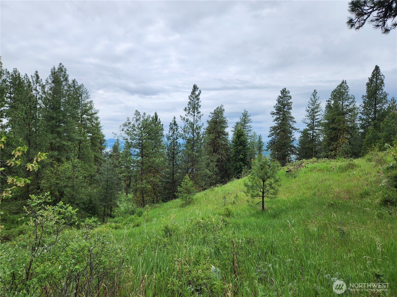 0 74 & 75 Gold Mt. Road , Republic, WA 99166