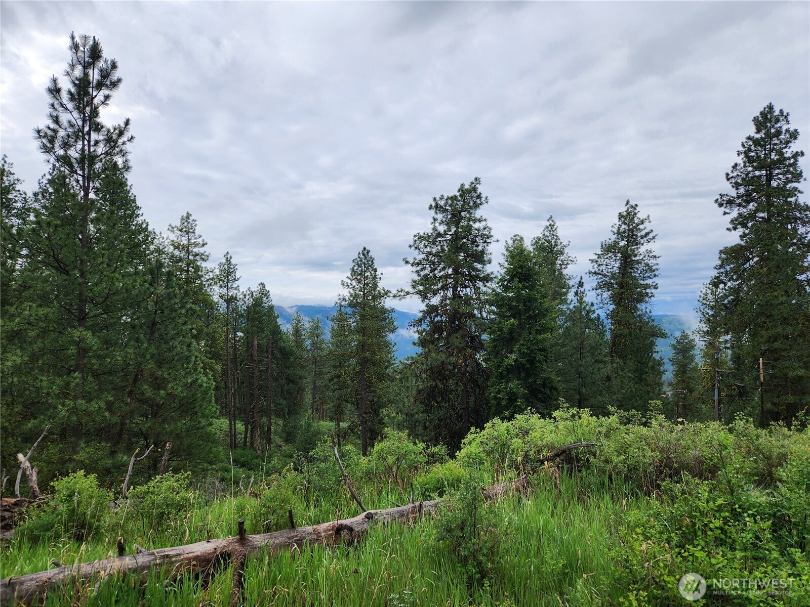 0 74 & 75 Gold Mt. Road , Republic, WA 99166