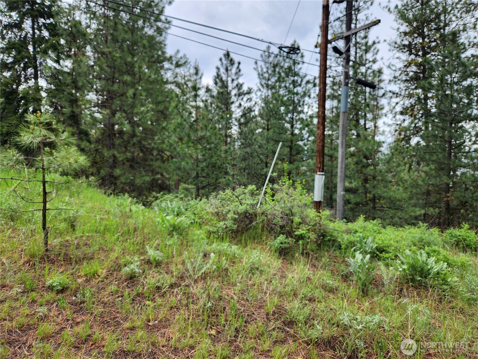 0 74 & 75 Gold Mt. Road , Republic, WA 99166