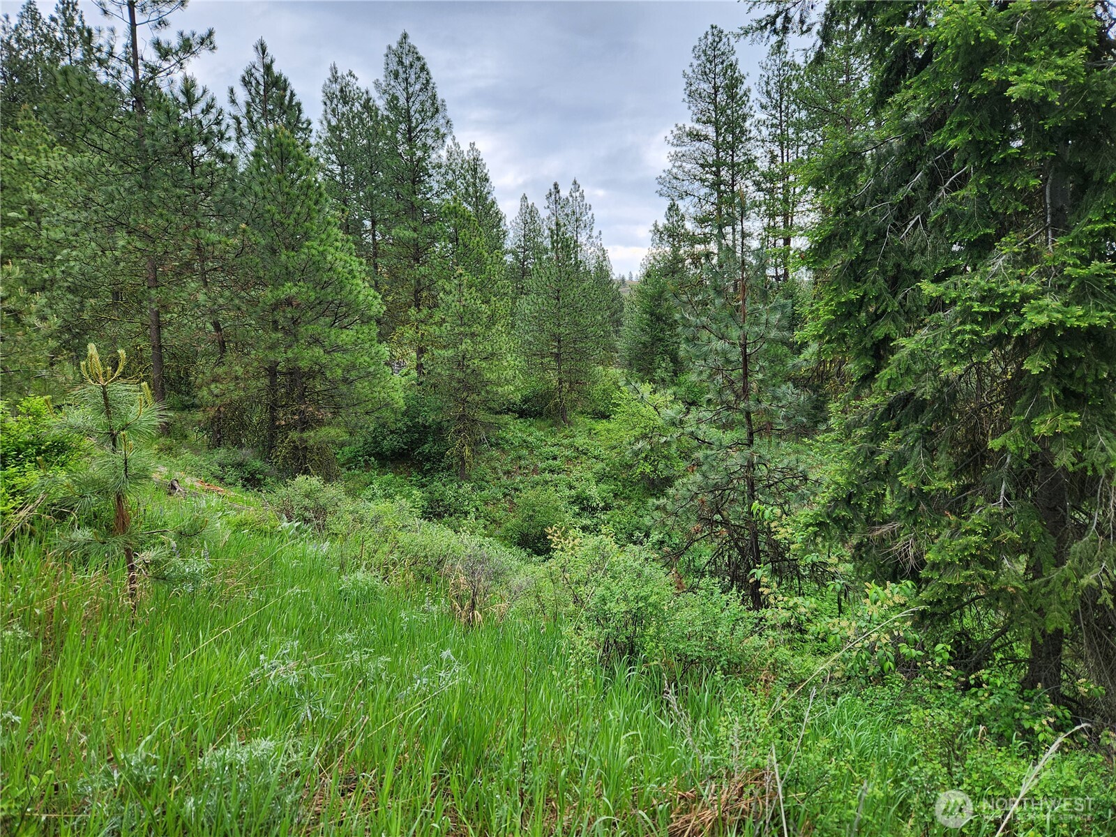 0 74 & 75 Gold Mt. Road , Republic, WA 99166