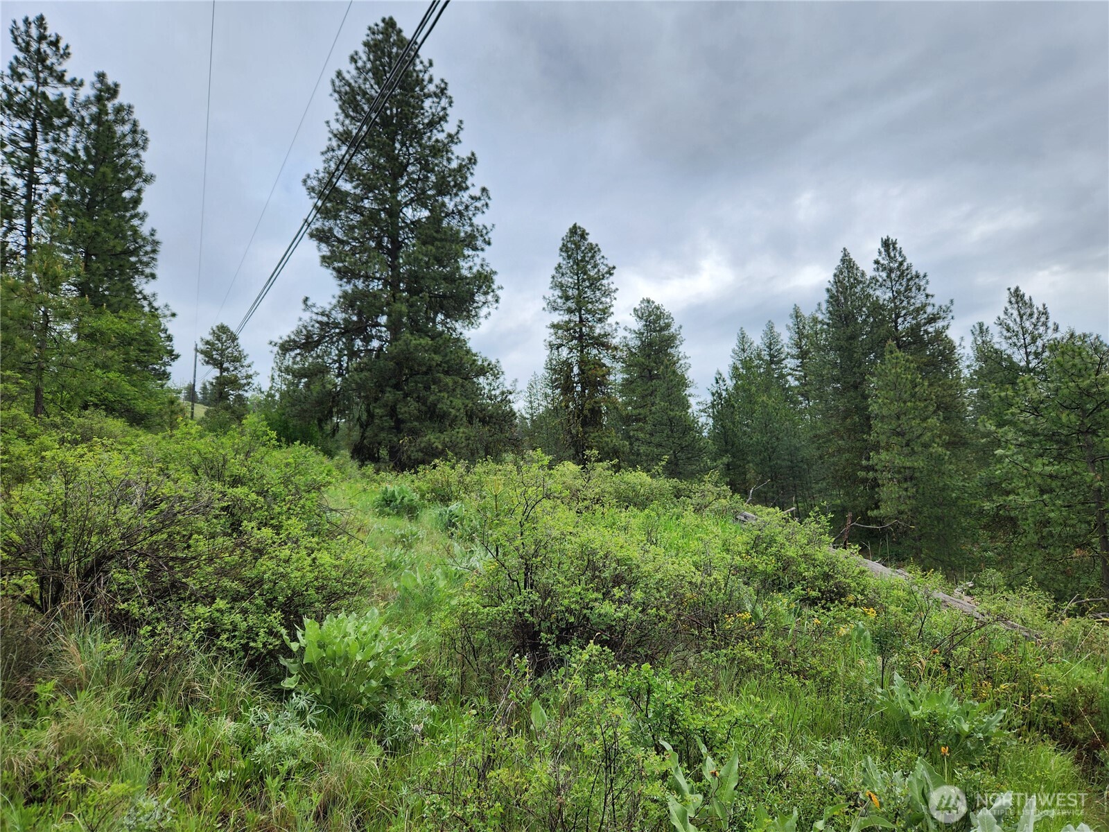 0 74 & 75 Gold Mt. Road , Republic, WA 99166