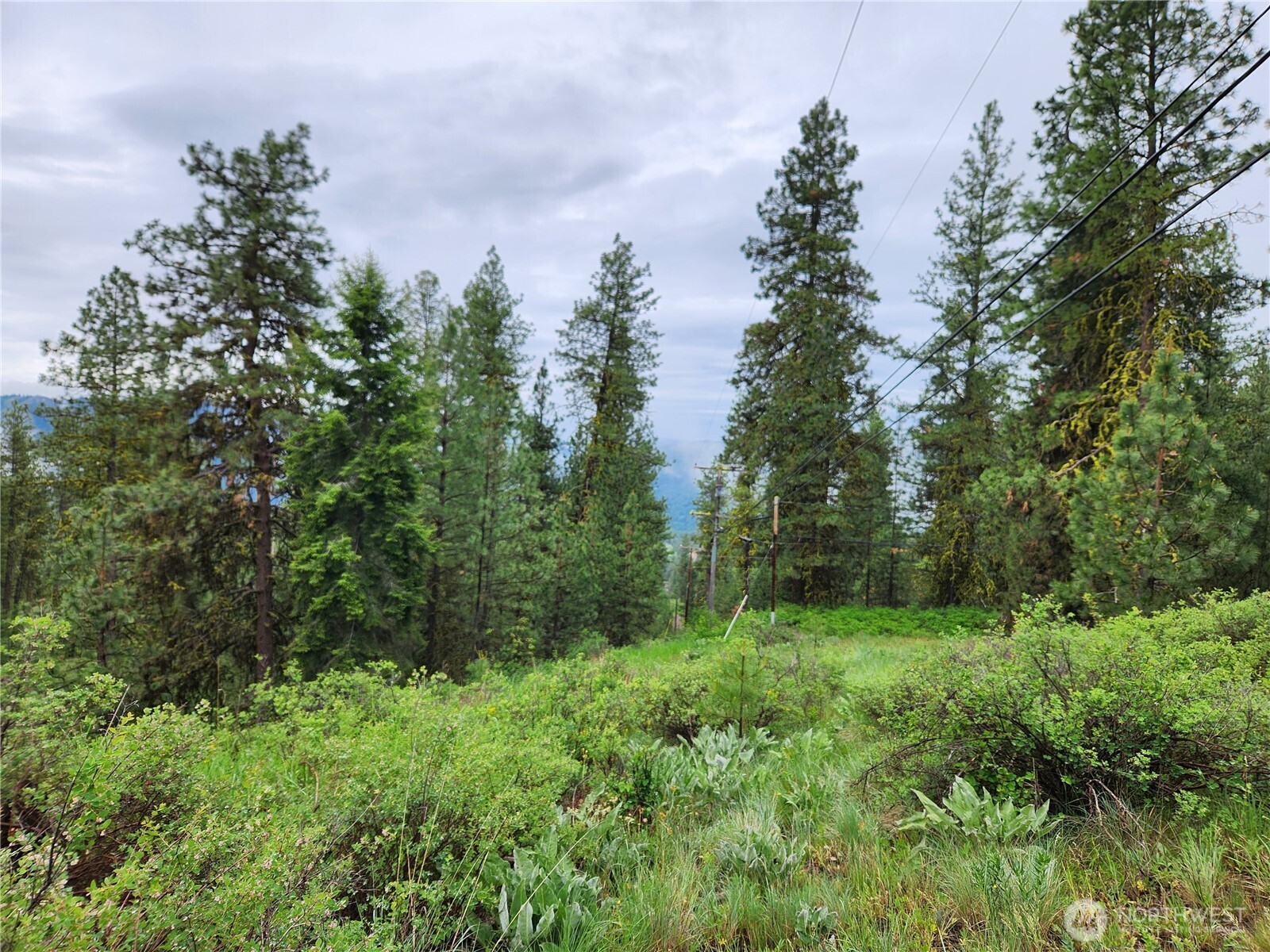 0 74 & 75 Gold Mt. Road , Republic, WA 99166