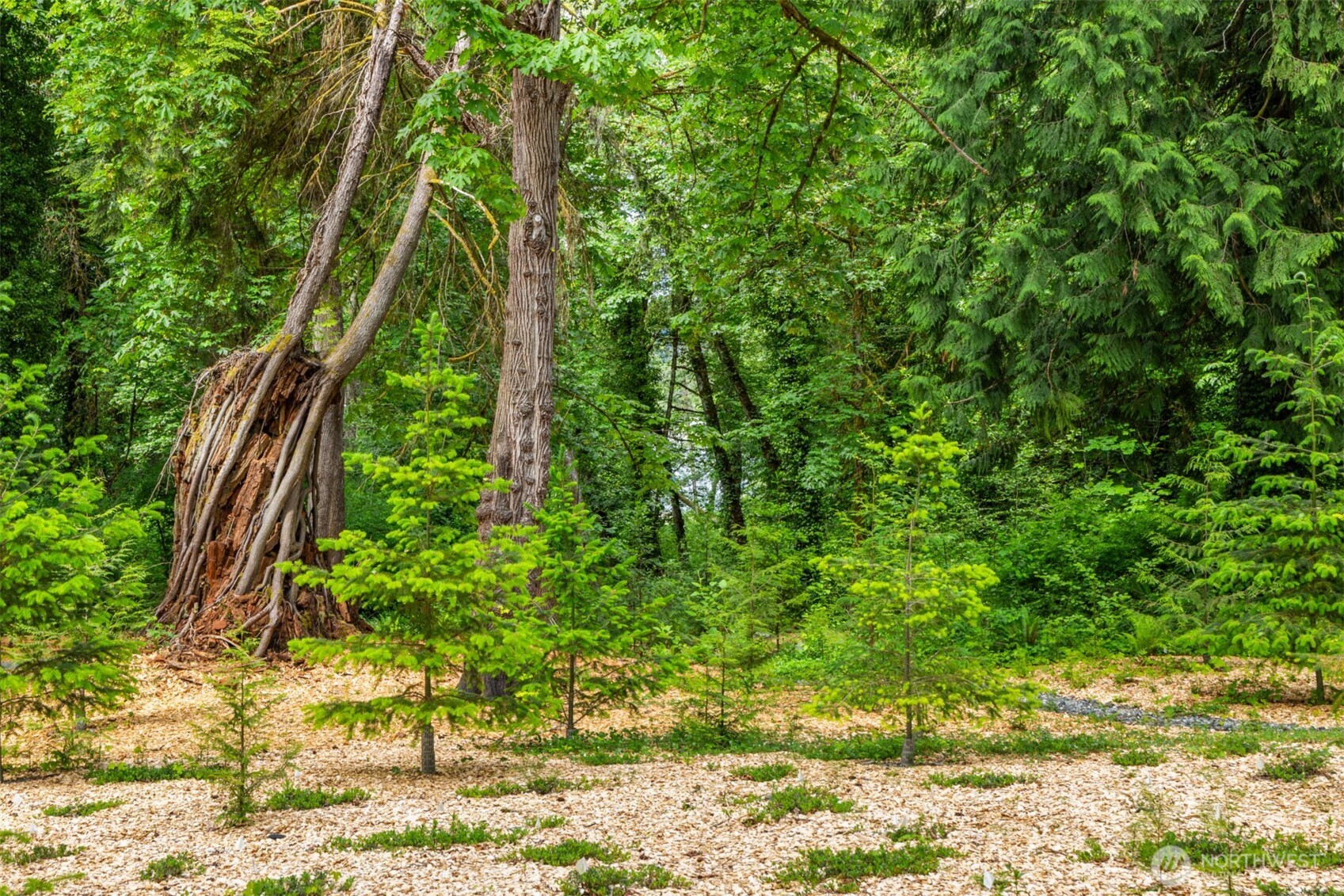 9720 NE Lofgren Road , Bainbridge Island, WA 98110