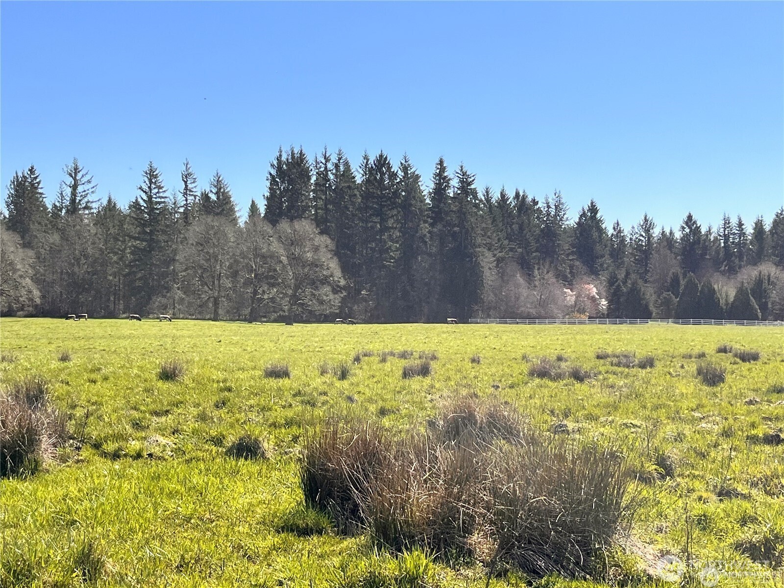 0 NE 212th Avenue , Battle Ground, WA 98604