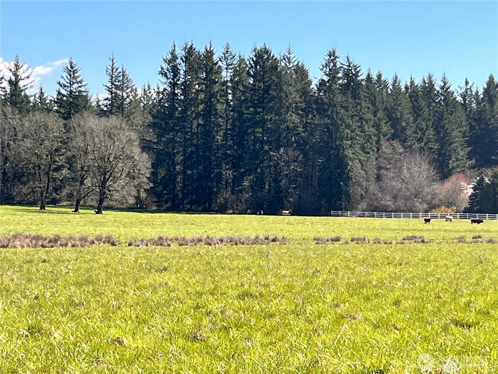 0 NE 212th Avenue , Battle Ground, WA 98604