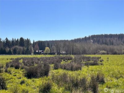 0 NE 212th Avenue , Battle Ground, WA 98604 - Photo 8
