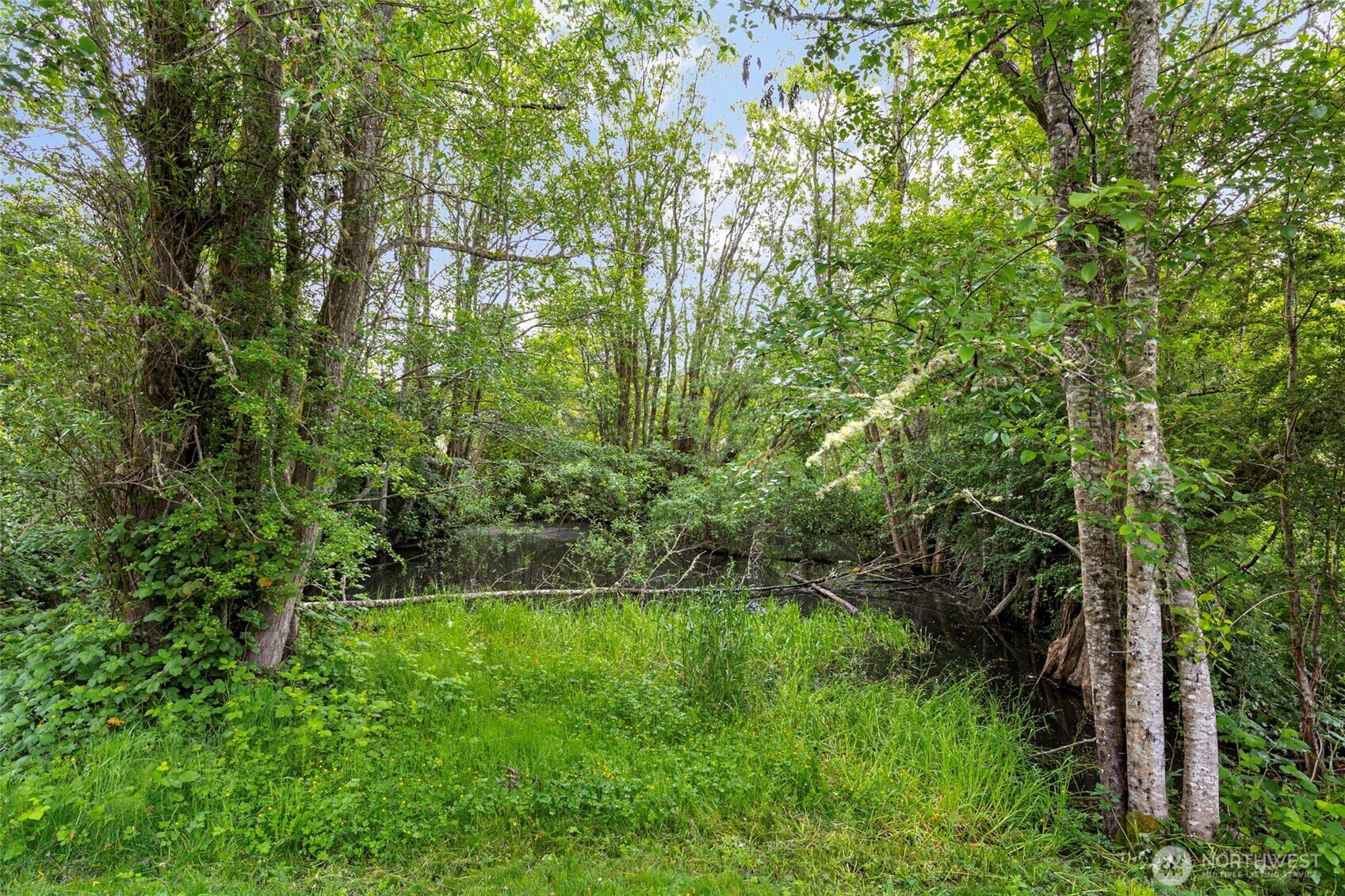 4710 New Sweden Avenue NE, Bainbridge Island, WA 98110