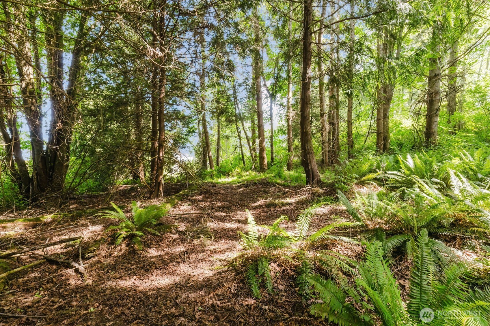38742 Tinker Place NE, Hansville, WA 98340