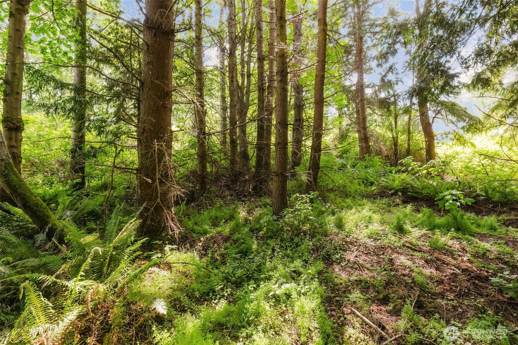 38742 Tinker Place NE, Hansville, WA 98340