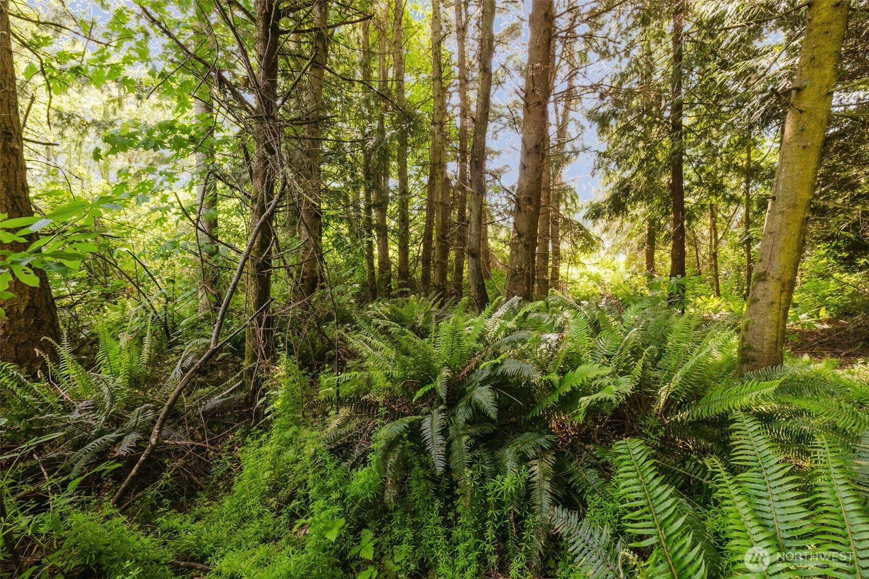 38742 Tinker Place NE, Hansville, WA 98340