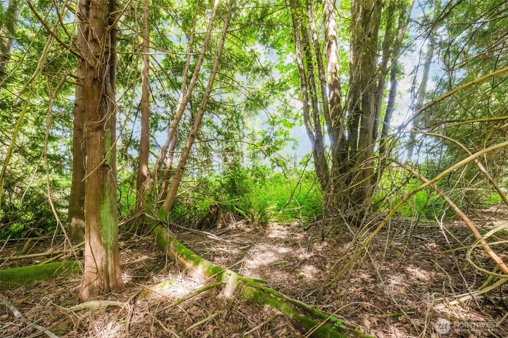 38742 Tinker Place NE, Hansville, WA 98340