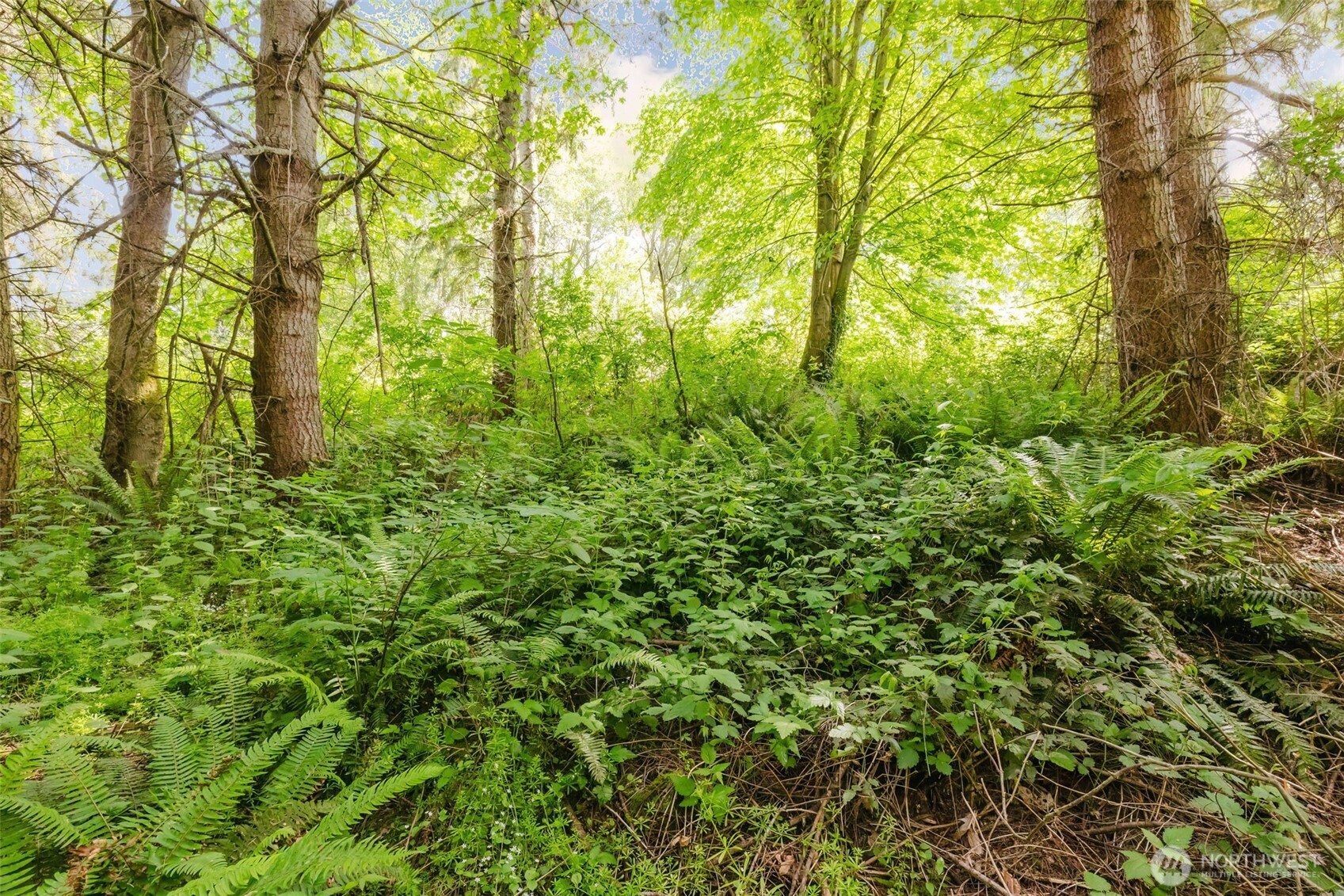 38742 Tinker Place NE, Hansville, WA 98340