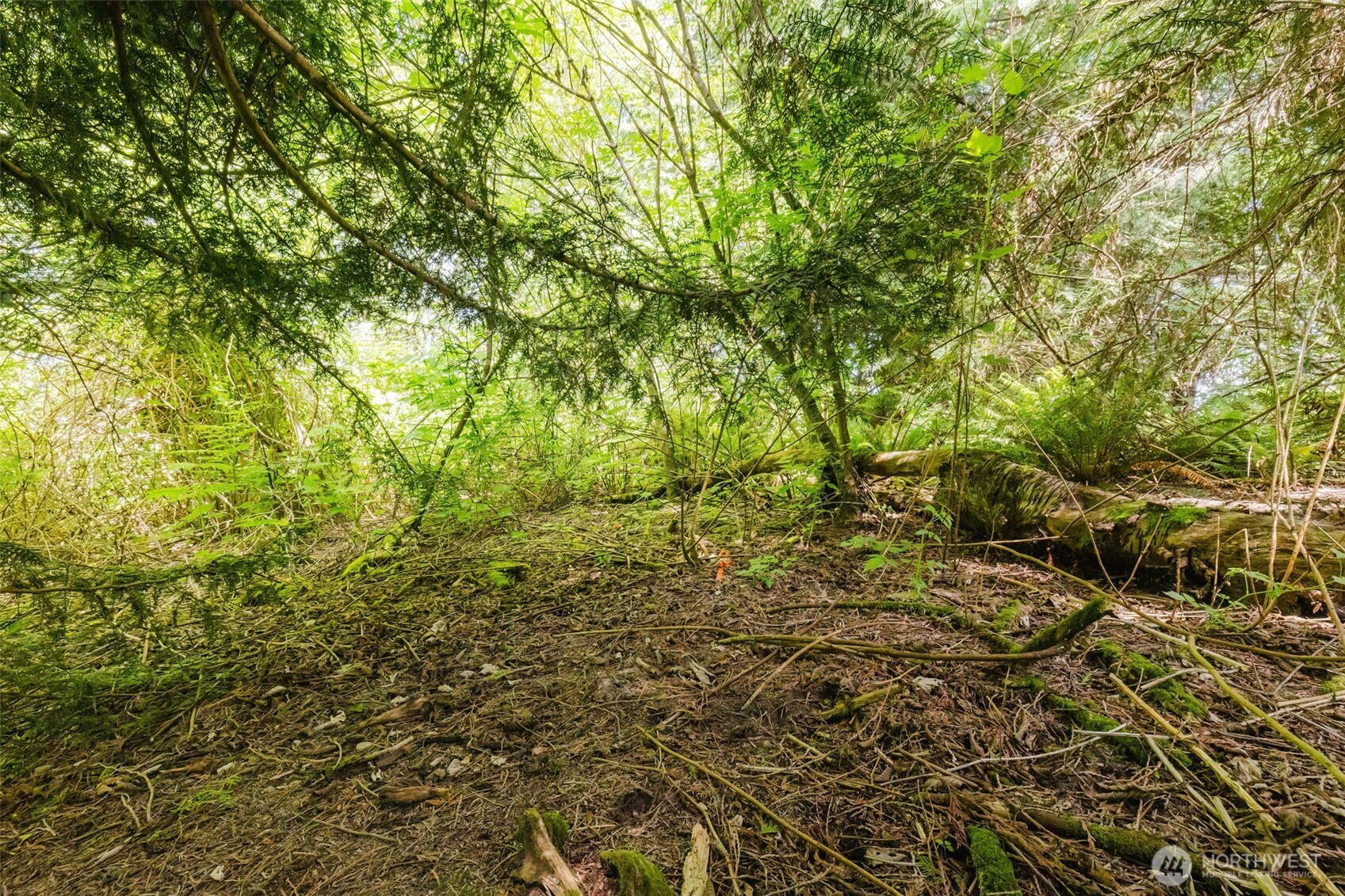 38742 Tinker Place NE, Hansville, WA 98340