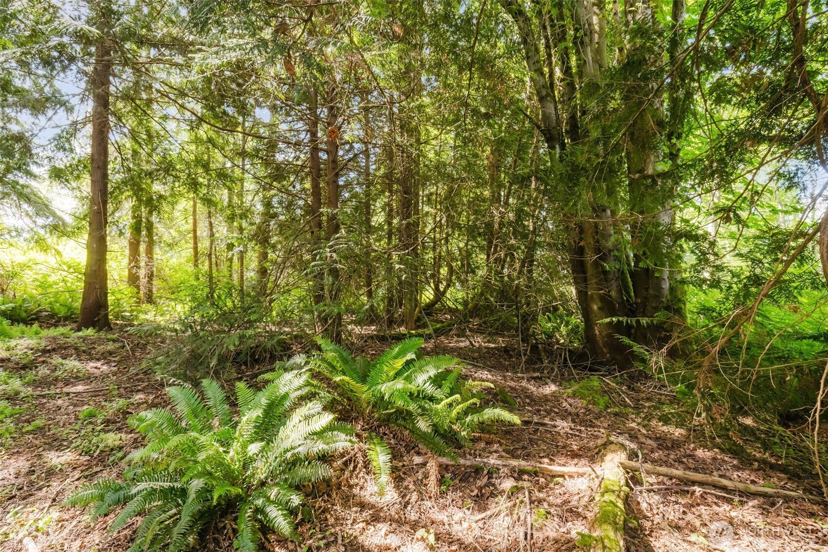 38742 Tinker Place NE, Hansville, WA 98340