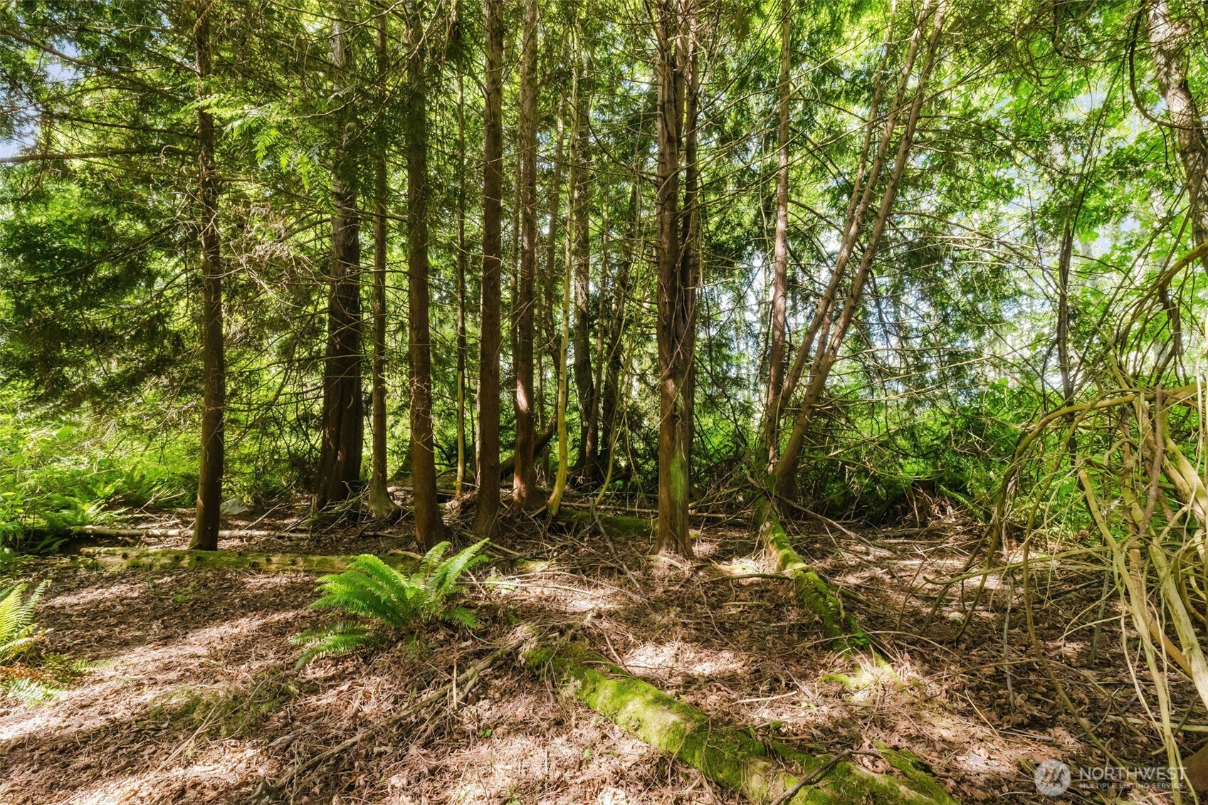 38742 Tinker Place NE, Hansville, WA 98340