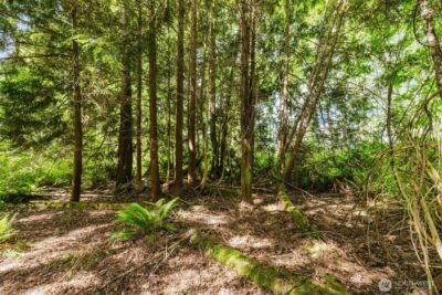 38742 Tinker Place NE, Hansville, WA 98340 - Photo 6