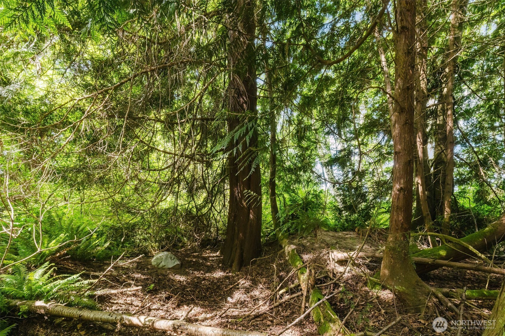 38742 Tinker Place NE, Hansville, WA 98340