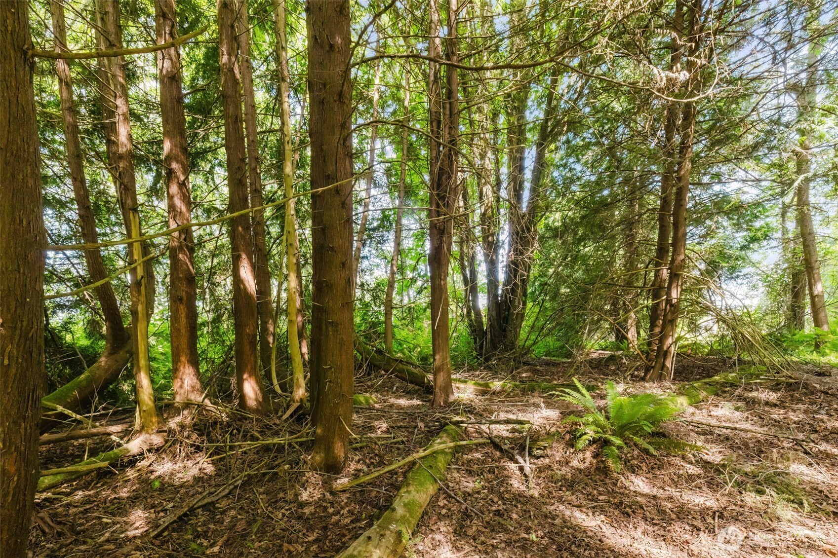 38742 Tinker Place NE, Hansville, WA 98340