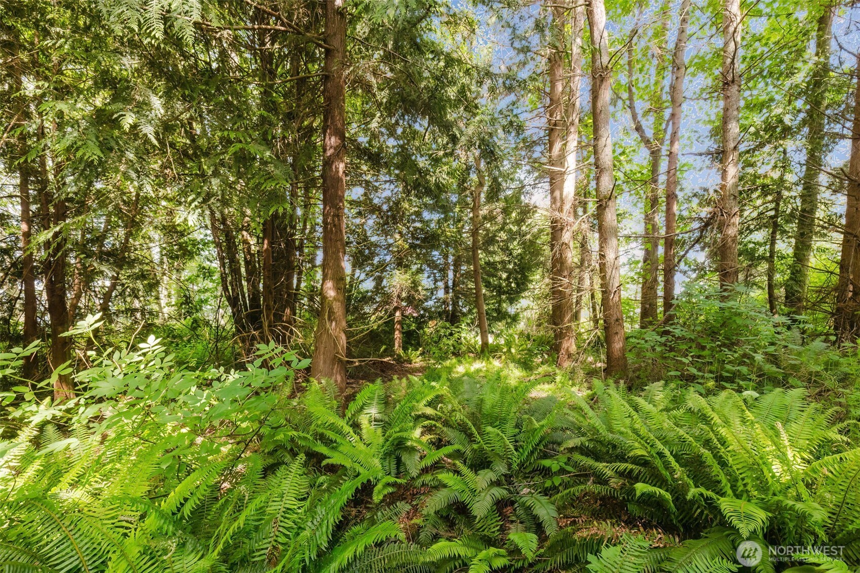38743 Tinker Place NE, Hansville, WA 98340