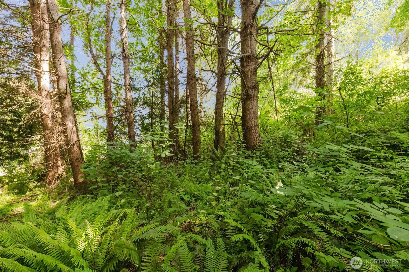 38743 Tinker Place NE, Hansville, WA 98340