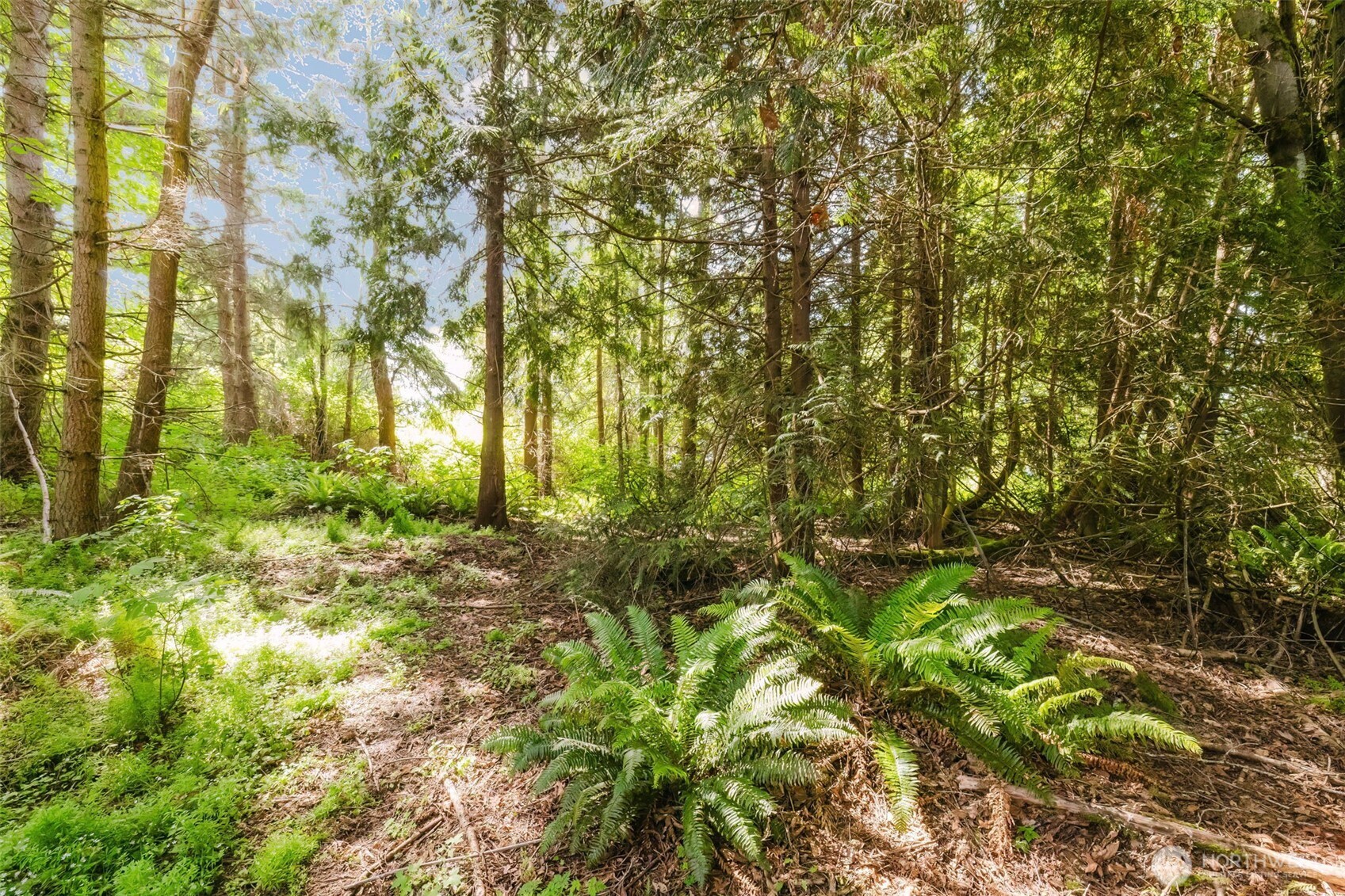 38743 Tinker Place NE, Hansville, WA 98340
