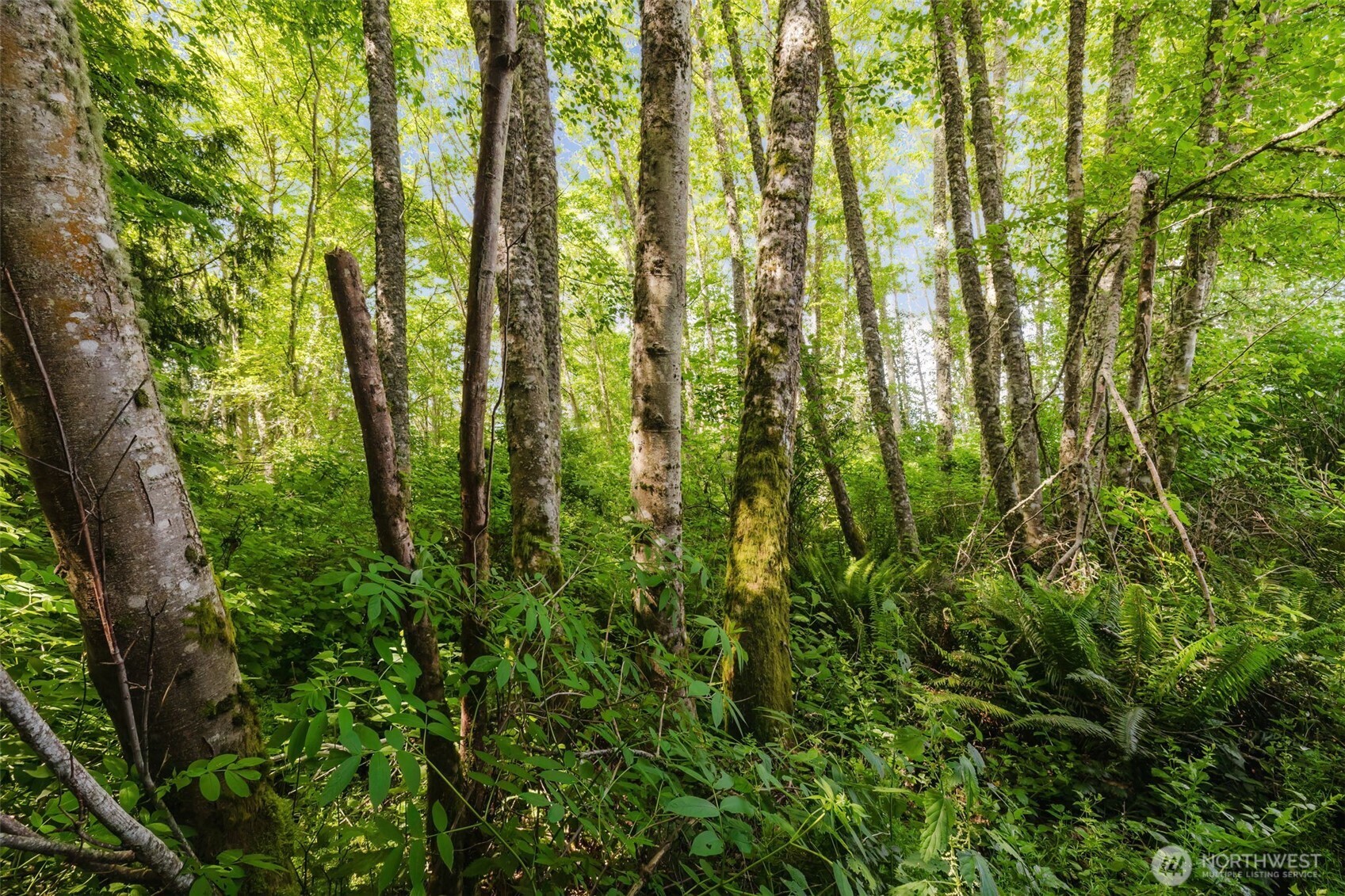 38743 Tinker Place NE, Hansville, WA 98340
