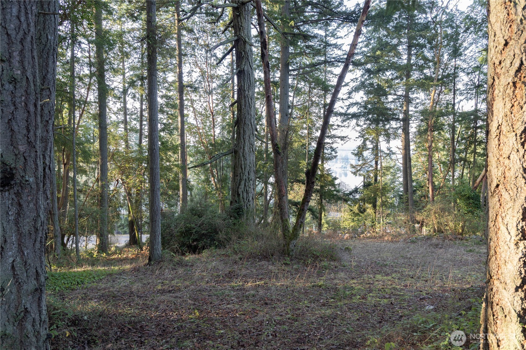 0 Lemolo Shore, Parcel 4-019 Drive NE, Poulsbo, WA 98370