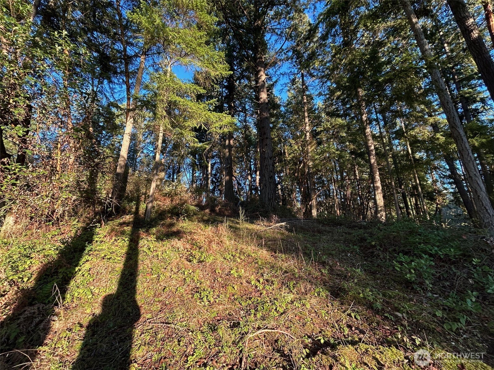 0 Lemolo Shore, Parcel 4-019 Drive NE, Poulsbo, WA 98370