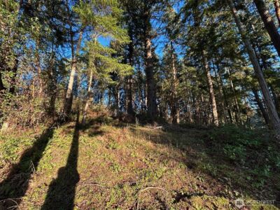 0 Lemolo Shore, Parcel 4-019 Drive NE, Poulsbo, WA 98370 - Photo 10