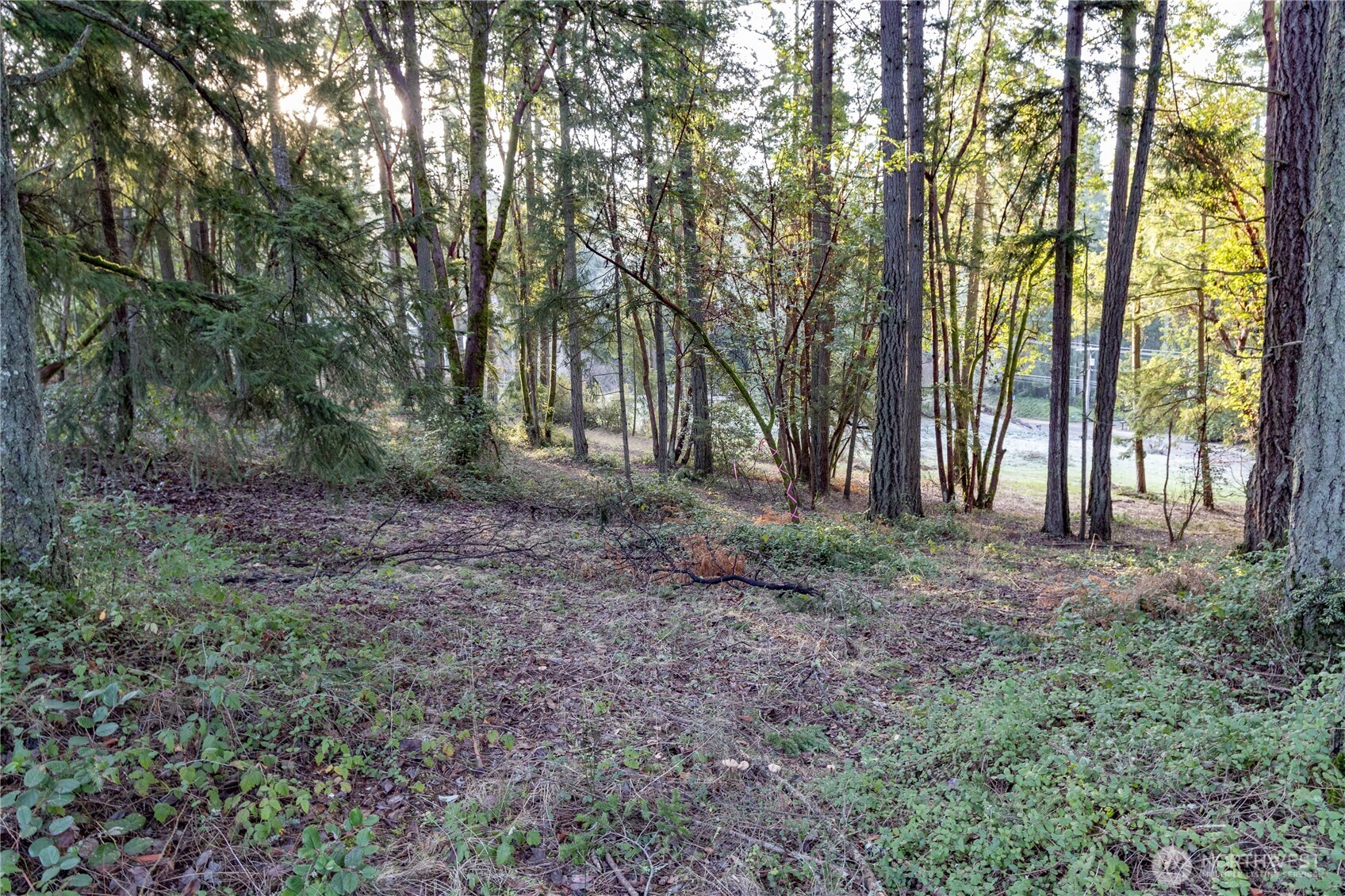 0 Lemolo Shore, Parcel 3-006 Drive NE, Poulsbo, WA 98370