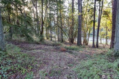 0 Lemolo Shore, Parcel 3-006 Drive NE, Poulsbo, WA 98370 - Photo 1